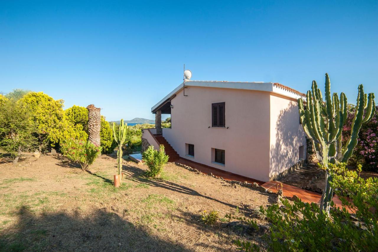Villa Lilly أولبيا المظهر الخارجي الصورة