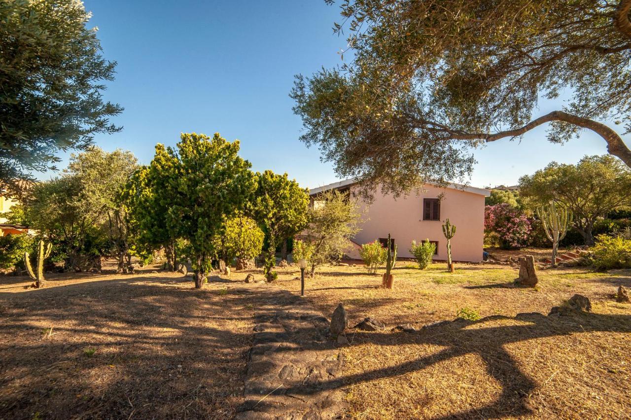 Villa Lilly أولبيا المظهر الخارجي الصورة