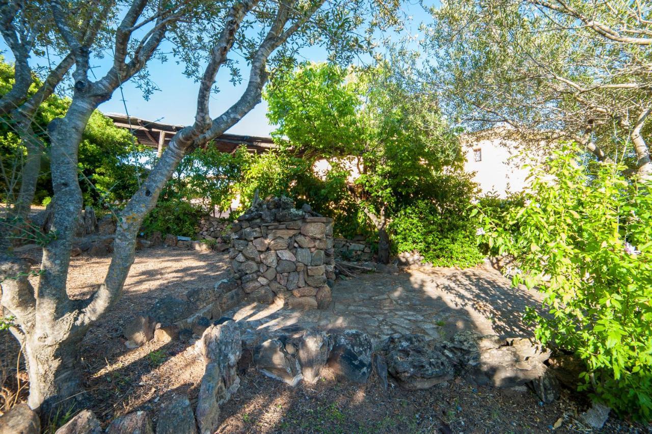 Villa Lilly أولبيا المظهر الخارجي الصورة